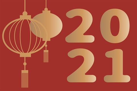 Chinese New Year Red and Gold.
