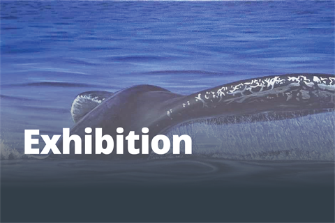 A painting of a whale surfacing in the ocean, with 'Exhibition' in bold white text at the bottom.