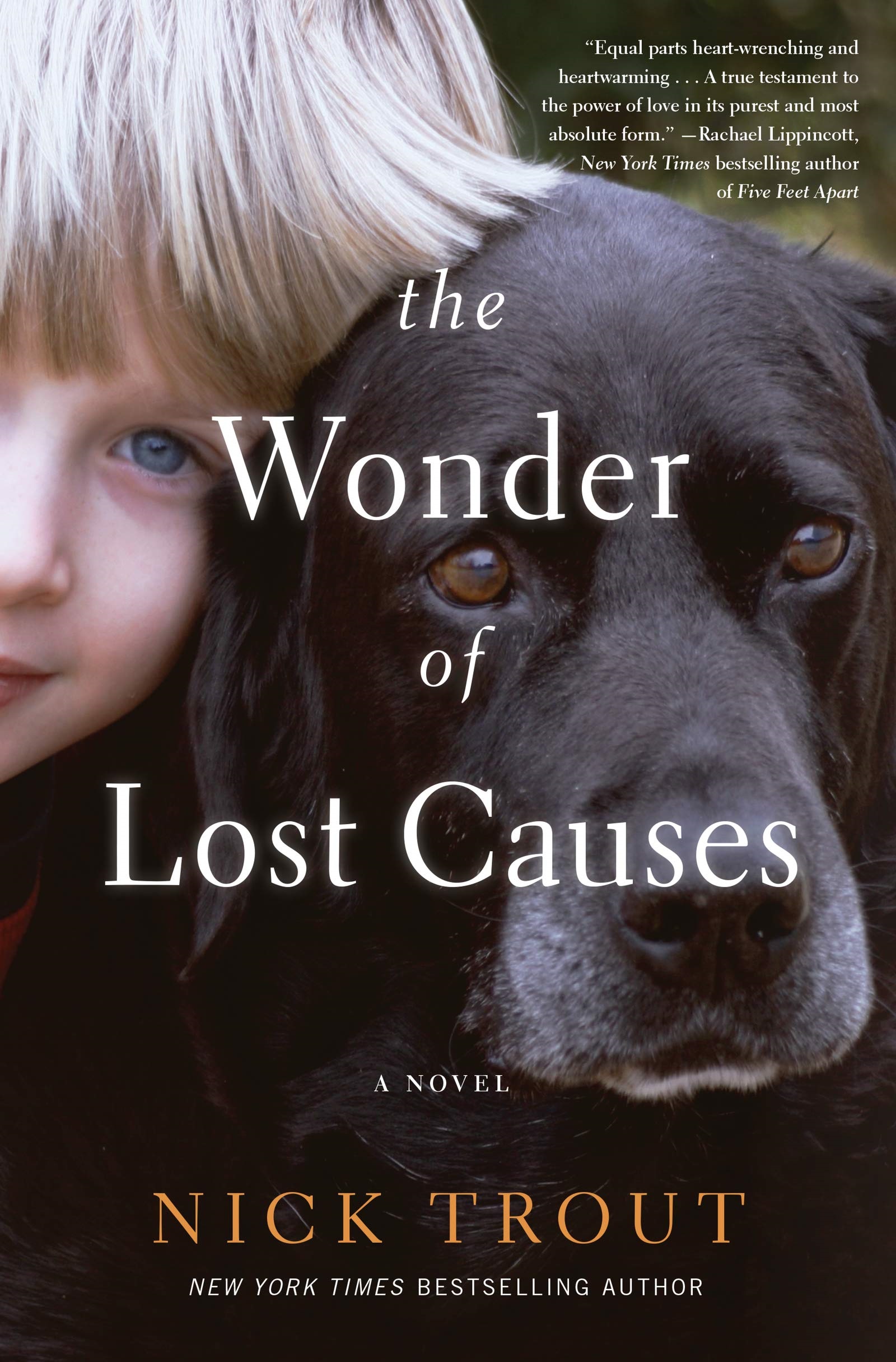 Book cover of Boy and Dog. The wonder of Lost Causes by Nick Trout.