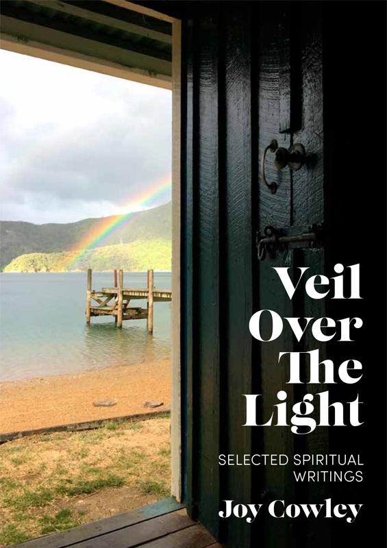Book Cover, Veil Over The Light by Joy Cowley.