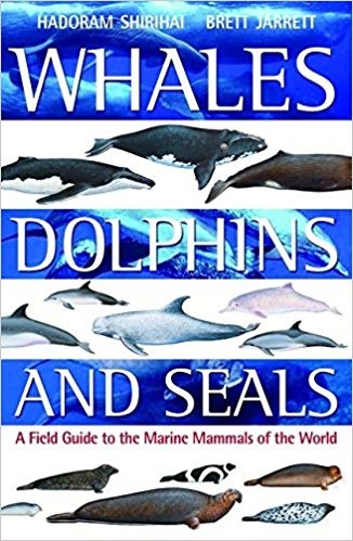 Book cover of Whales Dolphins and seals. By Brett Jarrett.
