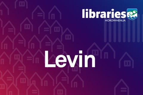 Libraries-Levin.jpg
