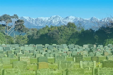 cemetary-database.jpg